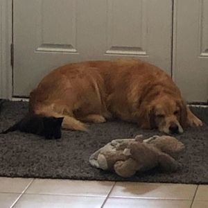 Meet your Posher, Barbara